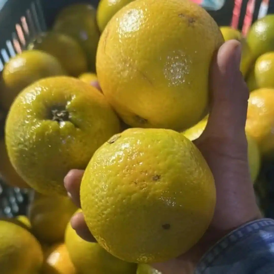 Bulto de 40 kilos de naranjas