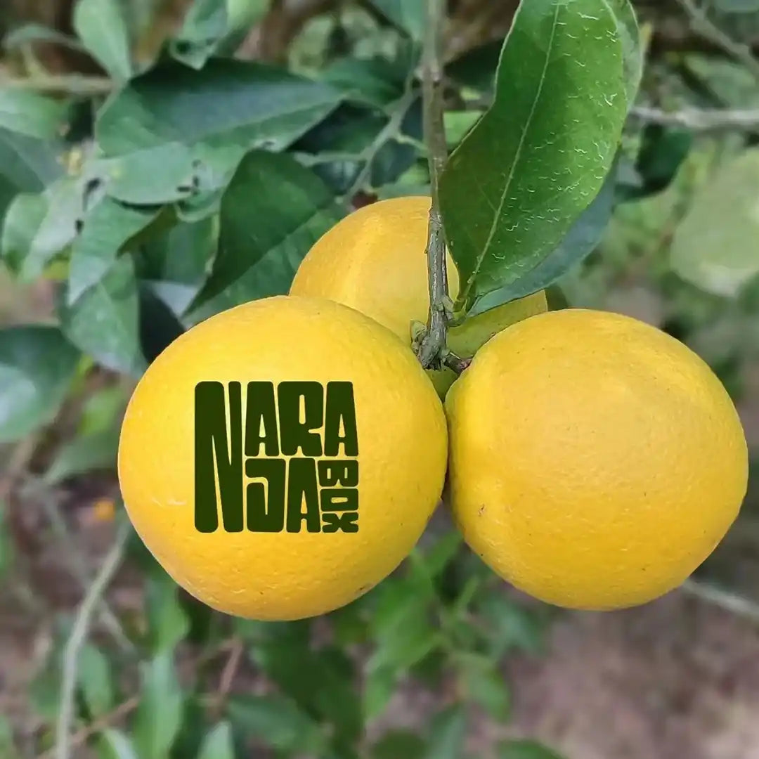 Caja de naranjas económicas 15 kg