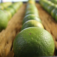Caja de naranjas premium * 15 kg